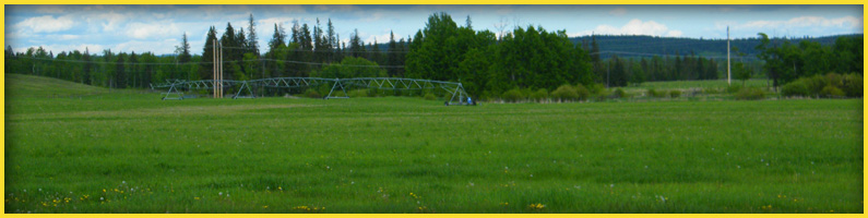100 Mile Ranch - Hay Sales - 100 Mile House - South Cariboo - British Columbia